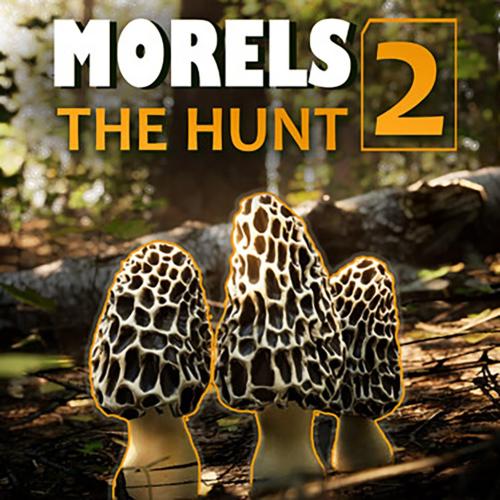 Morels: The Hunt 2 2024 torrent